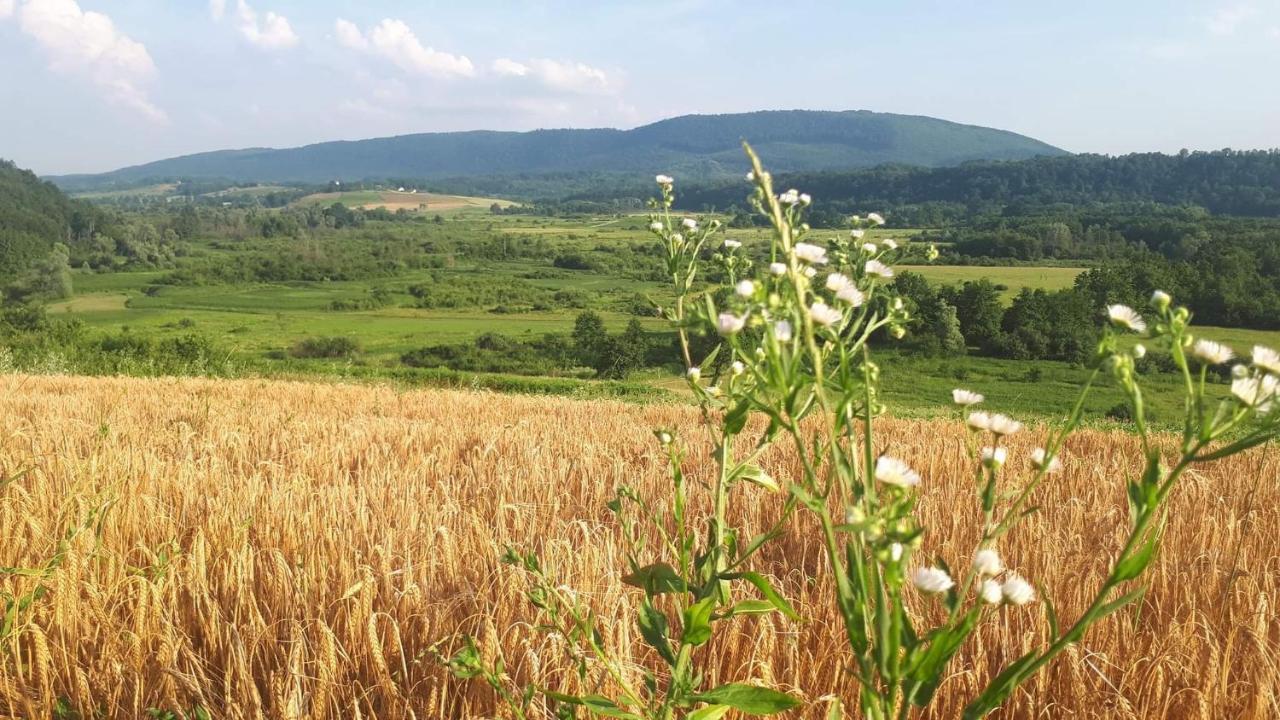 Peace Of Nature *** Слуни Экстерьер фото